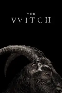 Download The Witch (2015) BluRay Dual Audio {Hindi-English} 480p | 720p | 1080p ESub